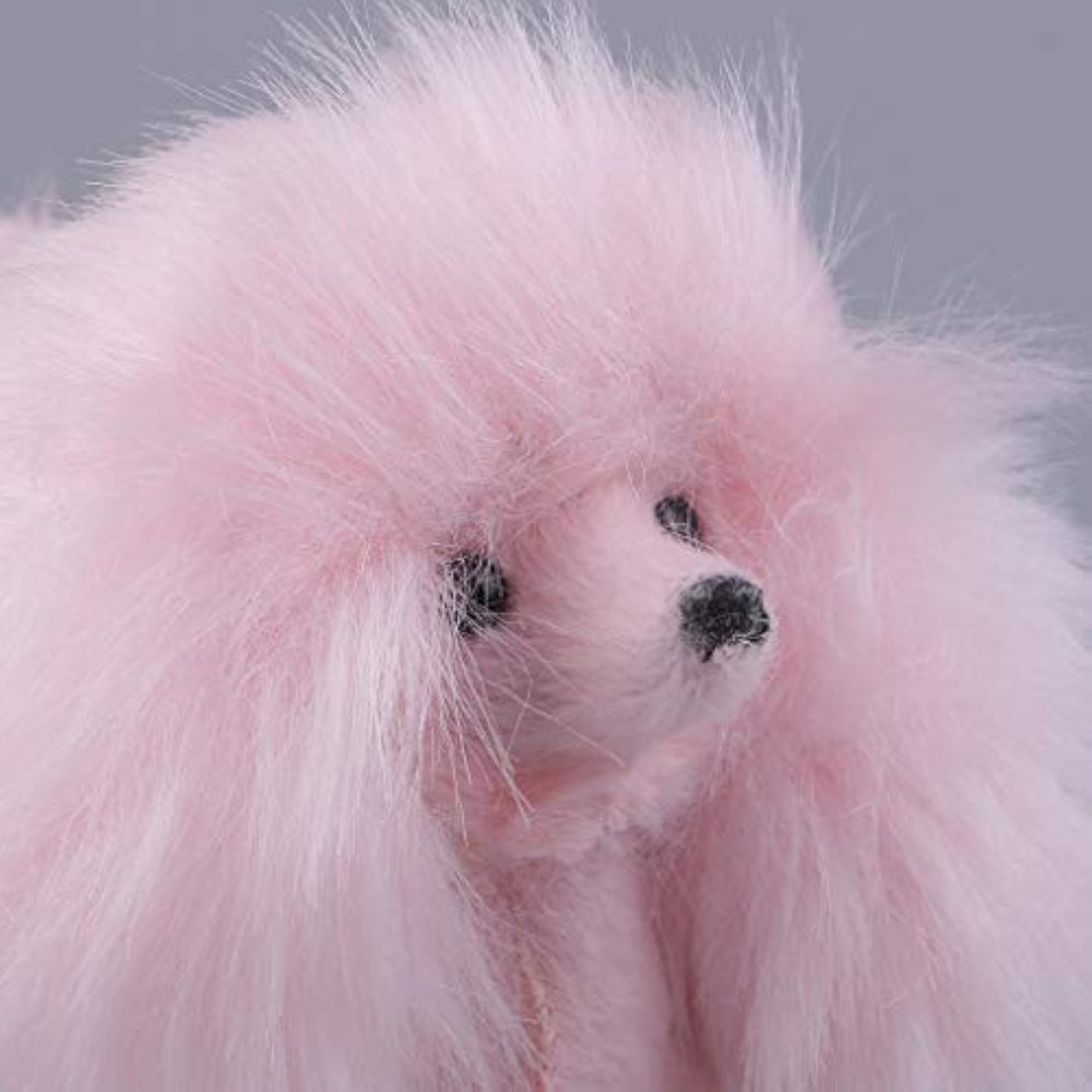 Lightweight Pink Poodle Model Craft Decoration, Soft Plush