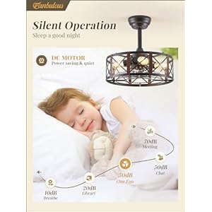 16in caged ceiling fans with lights and remote fandelier ceiling fan with 6 speeds and timing no beep farmhouse samll fan lights ceiling fixtures for kitchen bedroom outdoor walnut  urban country home decor