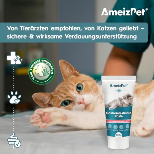 AmeizPet Gastro Intestinale Paste für Katzen, Unterstützung der Darmgesundheit und Darmflora, Verdauungsunterstützendes Ergänzungsmittel für Katzen und Kätzchen, 100g (3.53 Oz)
