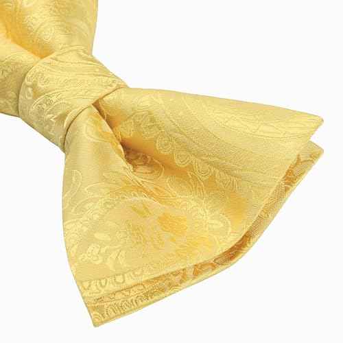 Image of HISDERN Bow Ties for Men Pretied Bow Tie Set Paisley Classic Bowties and Pocket Square Cufflinks Set for Wedding Party