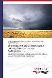 El quitosano en la interacción de las plantas con sus patógenos: Sus potencialidades en la protección del tabaco contra Phytophthora nicotianae