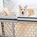 Carlson Pet Easy Fit Portable Pet Gate, Fits Openings 28-42