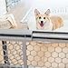 Carlson Pet Products Easy Fit Plastic Adjustable Pet Gate, Fits Openings 28-42"...