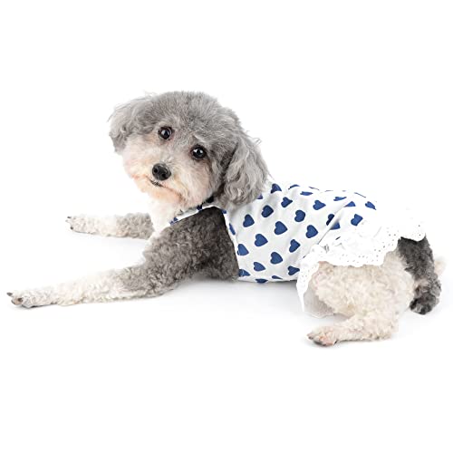Ranphy Dog Dress For Small Dogs Girl Puppy Sleeveless Clothes Pet With Cute Heart Print Skirt Doggy Spring Summer Outfit Cats Apparel, Blue, Xl #TOP2