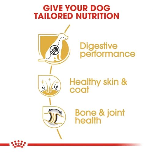 Image of Royal Canin German Shepherd Adult Dog Food, 3 Kg, Dry Food, Supports Digestive health, Healthy Skin & Coat, Promotes Bone and Joint Health