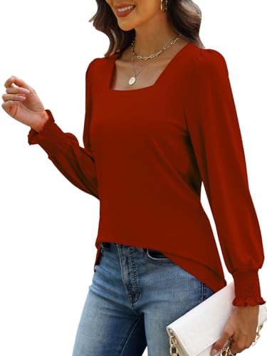 MixShe Womens Square Neck Blouses 2025 Fall Fashion Long Sleeve Casual Stretchy Pullover Tops2