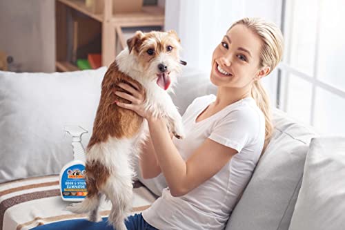 BARN BE GONE Superhero Strength Eliminador de manchas e odores de animais de estimação | Spray limpa