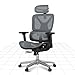 FLEXISPOT Ergonomischer Bürostuhl Schreibtischstuhl, 3D-Armlehnen, 3D-Kopfstütze, 5D-verstellbare Rückenlehne, Atmungsaktiver Sitz Belastbar bis 136 kg Arbeitsstuhl, ErgoX, Dunkelgrau
