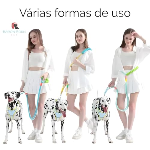 Guia Pet Reforçada P/Cães Resistente Ao Impacto Confortável (Preto)