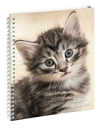 Preisvergleich Produktbild Exacompta 1 Hausaufgabenheft Spiralbindung, Thema Fohlen 15 x 21 cm