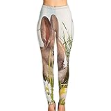 🍉 Feuchtigkeitsableitung: Yoga Capris Leggings für Frauen bestehen aus hochwertigen Stoffen, die Feuchtigkeit aus Ihrem Körper entfernen, leichten Komfort sowie Schweißabsorptions- und Trocknungsmöglichkeiten bieten. Es verfügt außerdem über alle Interlock-Nähte, um Irritationen zu reduzieren und Scheuern zu vermeiden. Dies ermöglicht maximalen Komfort und Tragbarkeit.