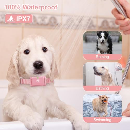 Pikabiu Shock Collar Rechargeable Training Collar with Remote 1800FT Control, Pink Adjustable Waterproof Electric Collar for 5–15lbs Small Size Dogs Puppy Cat Large Medium Dog, Safety Vibration