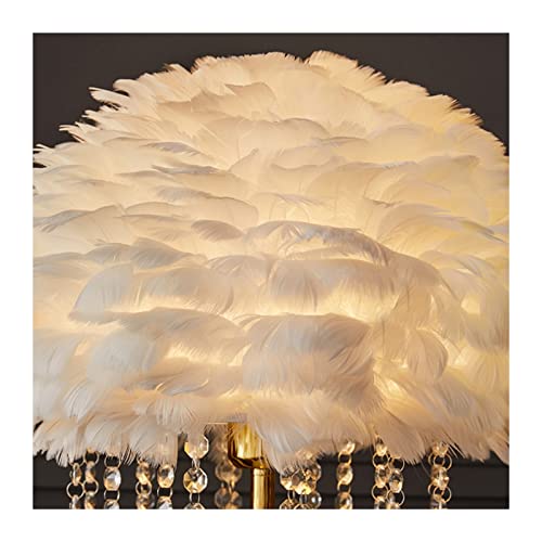 Lámpara de pie de plumas color blanco para sala de estar 5