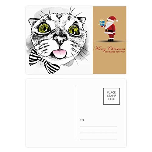 Cartes postales chat blanc Tougue coffret cadeau de 20 images pour amoureux des chats