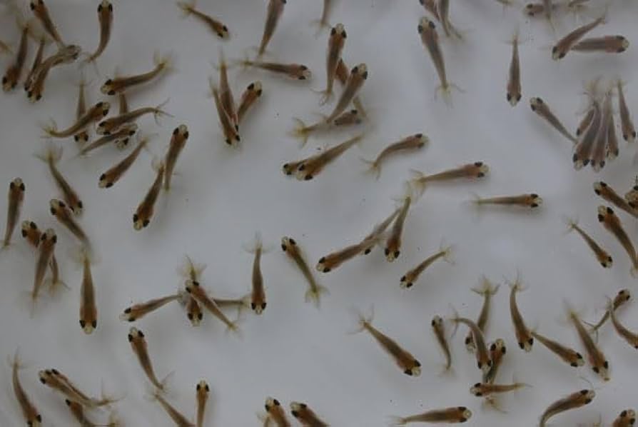 ongh リクエスト 1点 まとめ商品 Hitachi ZX200-1 Travel Reducer 9233687 9233688 - Pnc Hyd Parts