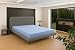 sleepling Matratze 90x200 Basic 20, Komfortschaummatratze, Rollmatratze mit Härtegrad 2, Made in...