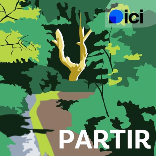 『Brocéliande : nos conseils pour un week-end en Bretagne dans la forêt réelle et légendaire de Merlin』のカバーアート