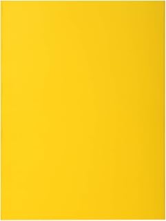 Exacompta 217111E - Lote de 10 Subcarpetas Rock"S 220, Color Amarillo