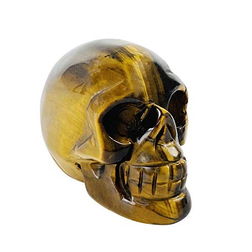 Spring.Rd Statue de crâne en cristal sculpté à la main de 5,1 cm - Pierre de guérison Reiki - Pierre de guérison sculptée - Artisanat pour homme et femme (œil de tigre) Naturel Cover