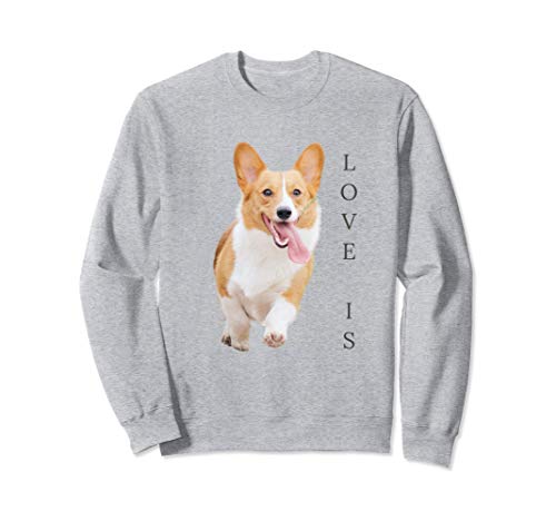 Corgi Shirt Men Women Kids Love Is Dog Mom Dad Tee Funny Pet Sudadera