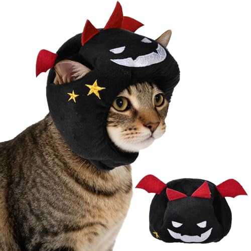 Habbiful Cat nEBRX`[ nEB ̊p Xq p Lp ߉\ 킢  S Lbv tFXeBo ybg wbh hXAbv ANZT[ nEB q qL RXv RX`[ Mtg