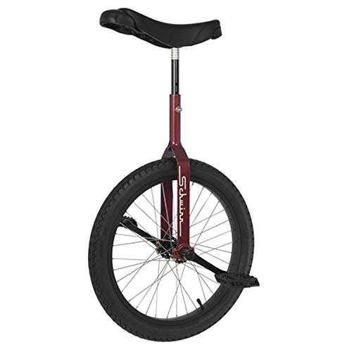 Review Of Schwinn 20 Retro Unicycle - Red