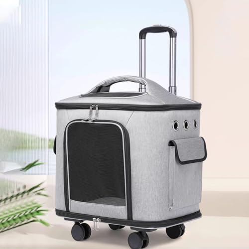 L p L[J[g܂肽 L ybgL[ LX^[t L Lp L[ J[g  ^ ybgL[P[X ܂ O\Ȏԗ hCu s L[obO ybgpL[P[X LX^[t