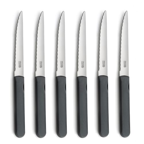 Pradel Essentiel Energy Gris - Set 6 couteaux steak