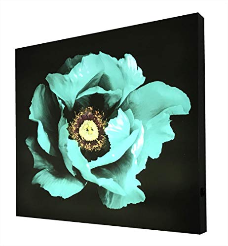 Tableau rétro-éclairé pivoine en méthacrylate multicolore 80x80 cm - 2