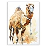 Druck-Palast Kamel Tierposter - 30x40cm - Kunstdruck Poster 