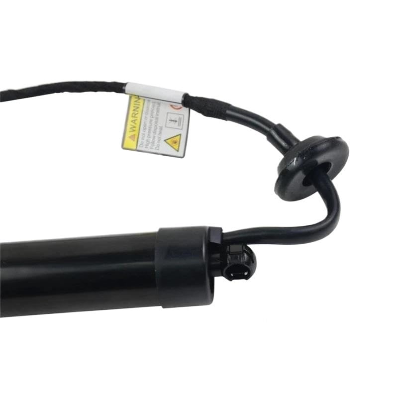 Vérin de hayon électrique pour X-Trail et Rogue 2014-2020