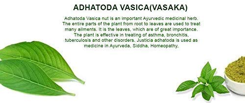Neotea Adhatoda Or Vasa Powder (Adhatoda Vasica), 300G #TOP4