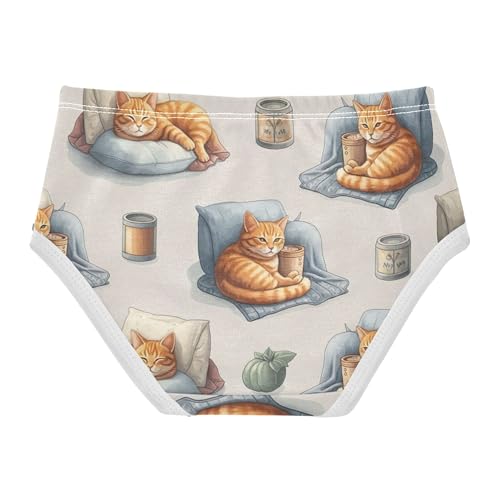 Cute Kitten Orange Tabby Cats Toddler Girls Underwear 2t Cotton Panties Little Girl Flower Kids Briefs Undies2