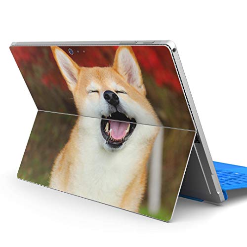 igsticker Surface pro6 pro2017 pro4 p XLV[ T[tFX m[gubN m[gp\R Jo[ P[X tB XebJ[ ANZT[ ی 015611  킢 Č