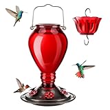 Kingsyard 24oz Glass Feeder