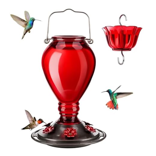 Kingsyard Glass Hummingbird Feeder - 6 Bee Guard Feeding Ports & Ant Moat, 24 oz Leak Proof, Wild Bird Feeder for Outdoors Hanging, Easy to Clean & Refill, Garden Yard Décor, Red