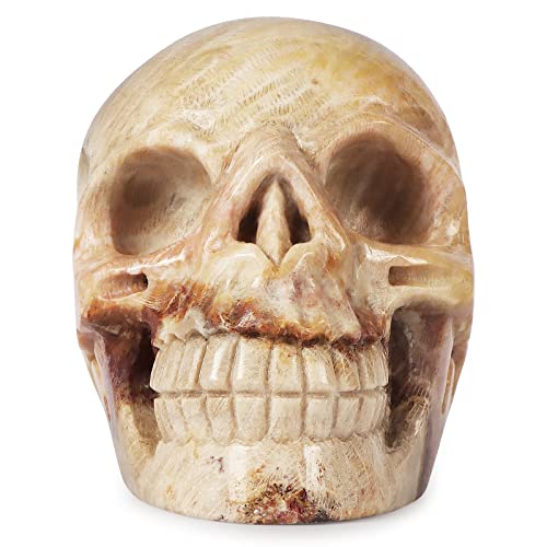 Hxswkk Crystal Skull Sculpture 3 Inch Hand-Carved Skull Decor Human Head Skeleton Skull Statues And Figurines Home Gifts Chrysanthemum #TOP2