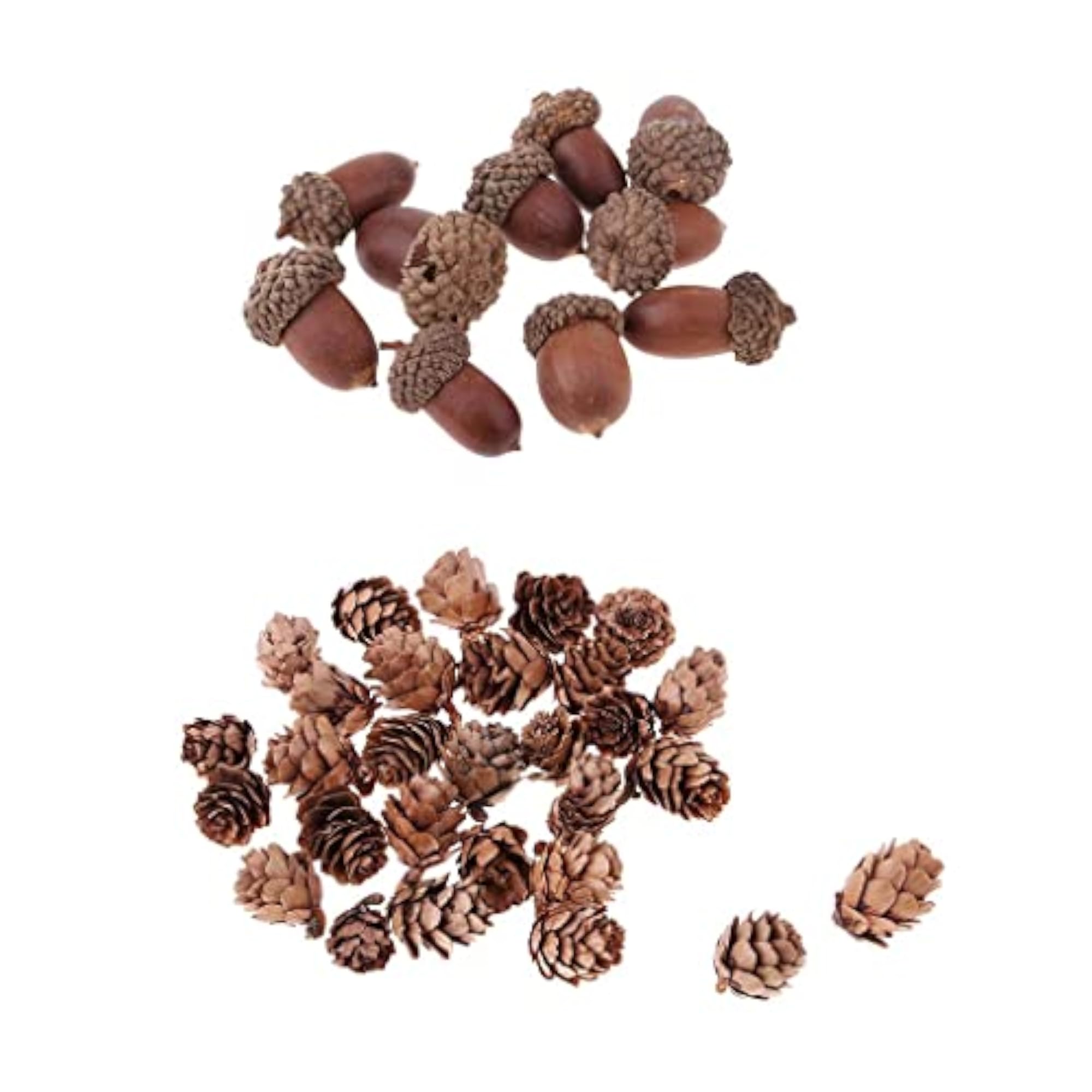 Natural Pine Cones Dried Table Ornament for Home Decoration