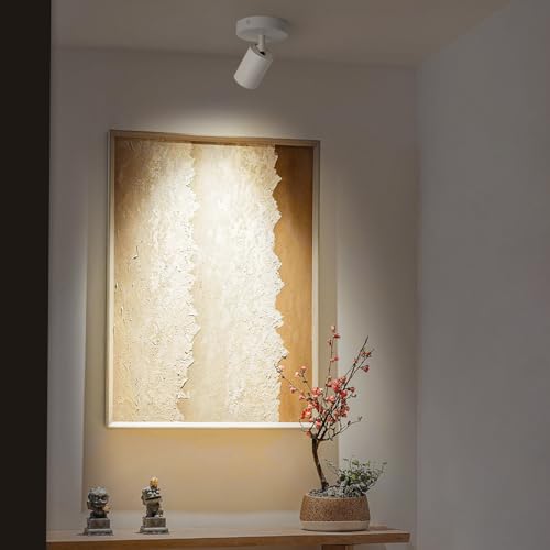 Image of White Surface Mounted LED Ceiling Spotlight Directional Spot Lights Indoor Bright Can Accent Fixture for Living Room Bedroom - CRI92 Flicker Free 7W 560LM 3000K Warm White (Driver includ)