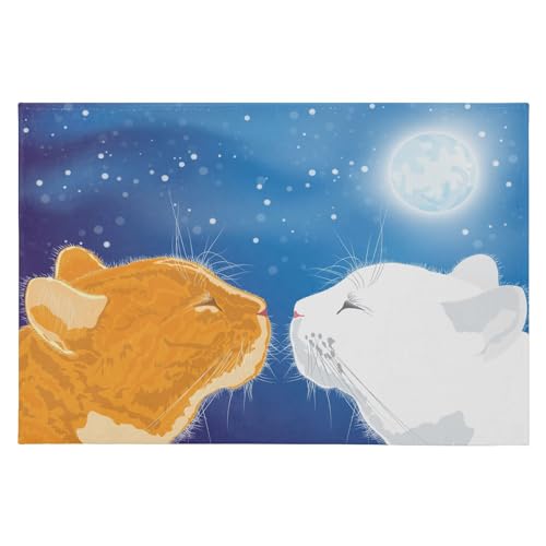 SAMAU  փ}bg  Aj lR ӂӂ hA}bg DƂ ~ O Ɩp ItBXp ƒp 唻 60*90CM