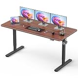 Xyndyx 63 Inch Electric Standing Desk