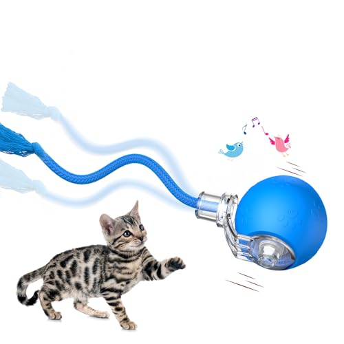 Interactive Cat Toys, Automatic Moving Cat Toys for Bored Indoor Adult Cats, Fast Rolling, Chirping & Motion-Activated Kitty Toys, Fun Gift for Cats with Speedy Tail 2.0, USB Rechargeable (Blue) Interactive Cat Toys, Automatic Moving Cat Toys for Bored Indoor Adult Cats, Fast Rolling, Chirping & Motion-Activated Kitty Toys, Fun Gift for Cats with Speedy Tail 2.0, USB Rechargeable (Blue)