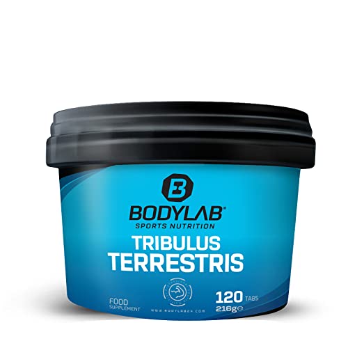Bodylab24 Tribulus terrestris 120 Tabletten | 2000mg Pflanzenextrakt je Tagesdosis | Tribulus terrestris Extrakt hochdosiert