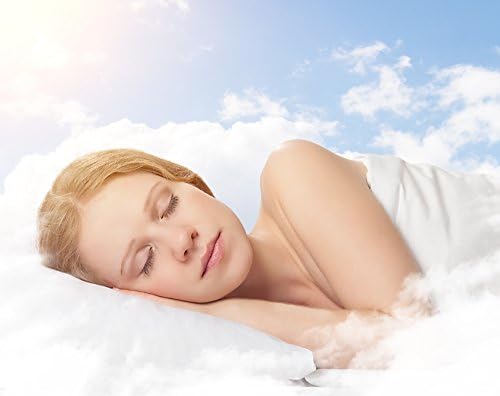 Analin 2 pack pillows for sleeping,400TC cotton cover 5cm Ultra soft ,Just Like Down and Mulberry silk Filling