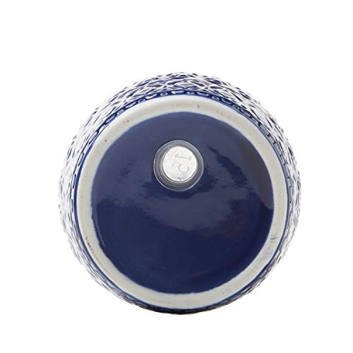 SKL Home by Saturday Knight Ltd. Kali Toothbrush Holder, Blue