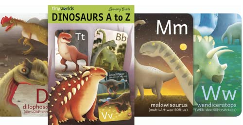 Tiny Worlds: Dinosaur Abc Flash Cards, Alphabet A To Z Dinosaurs Flashcards, Dinos Picture Learning Cards, Dino Flash Card For Kids 3-8 Years Old, Preschoolers, Pre-K, Children: Set Of 26 Flashcards #TOP1