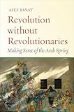 Revolution without Revolutionaries: Making Sense of the Arab Spring