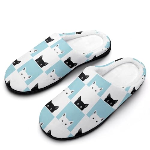 [ZKCASA] Xbp L lR L [V[Y   qp h  g 􂦂 ~ jp I[V[Yp 9-10i42-43j