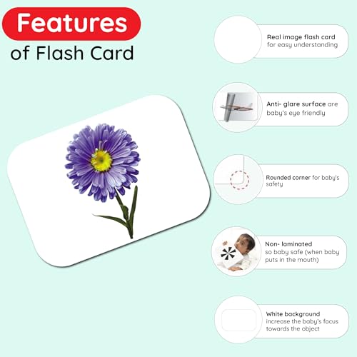 Image of Hungry Brain Flowers Flash Cards for Toddlers & Kids | Montessori Early Learning Cards for Babies | Educational Toy for Ages 3 Months to 6 Years | Fun Preschool Activity & Gift