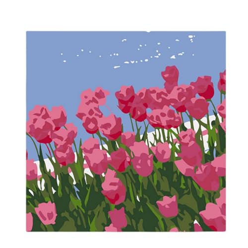`[bv̕i G LbgɂG i t[Y hG h fW^G z[ ItBX 20*20cm (21)